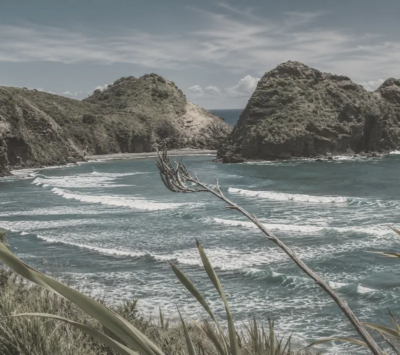奥克兰西海岸 Piha 海滩